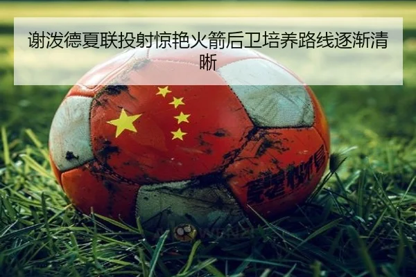谢泼德夏联投射惊艳火箭后卫培养路线逐渐清晰